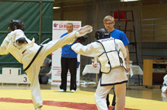 hapkido_sm2006_5-thumb