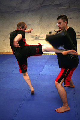 puolikaskombatreeni12-1